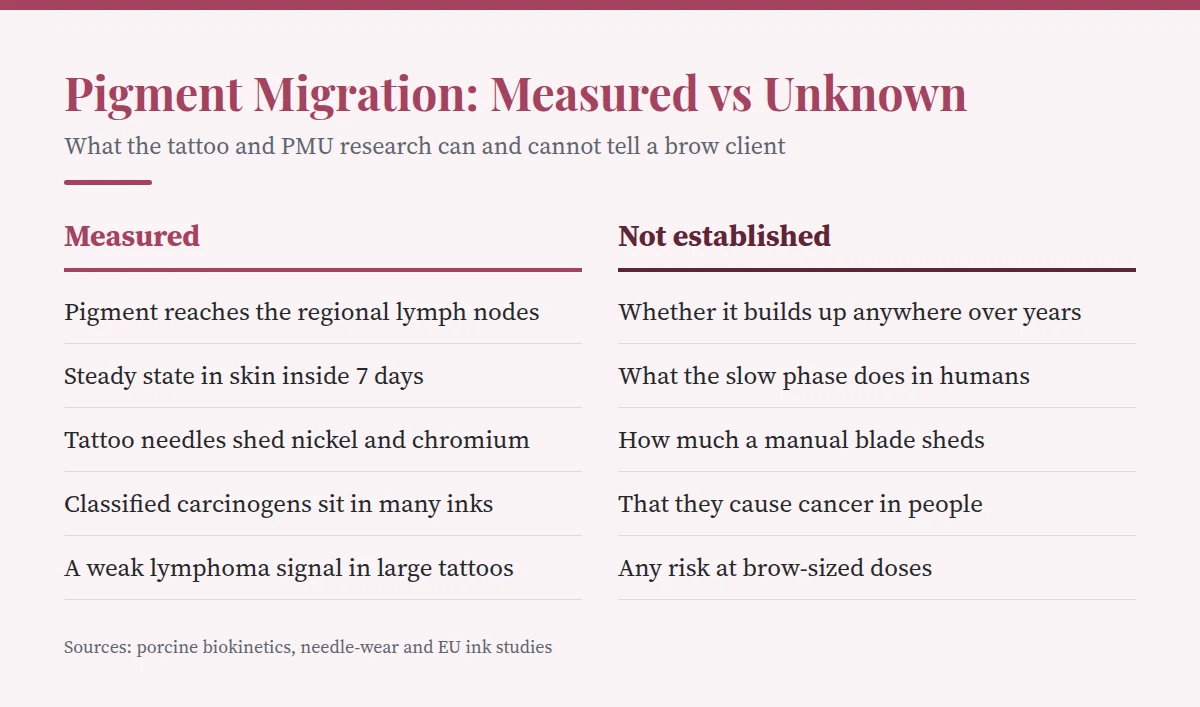 Summary card: Pigment Migration: Measured vs Unknown